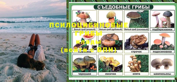 эйфоретик Алзамай