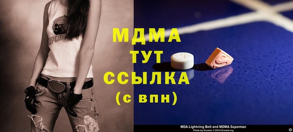 индика Алексин