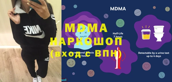 индика Алексин