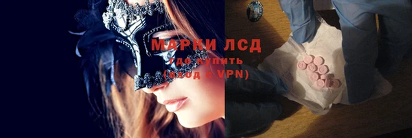 индика Алексин