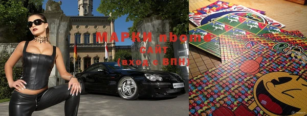 индика Алексин