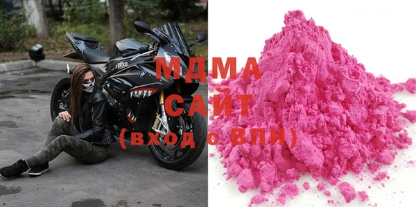 индика Алексин