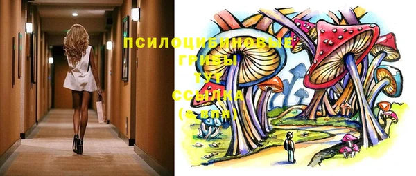 эйфоретик Алзамай