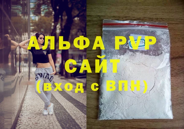 индика Алексин